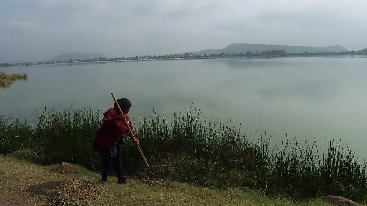 LAGO TLAHUAC-XICO. FOTO DANIEL GALEANA (28)